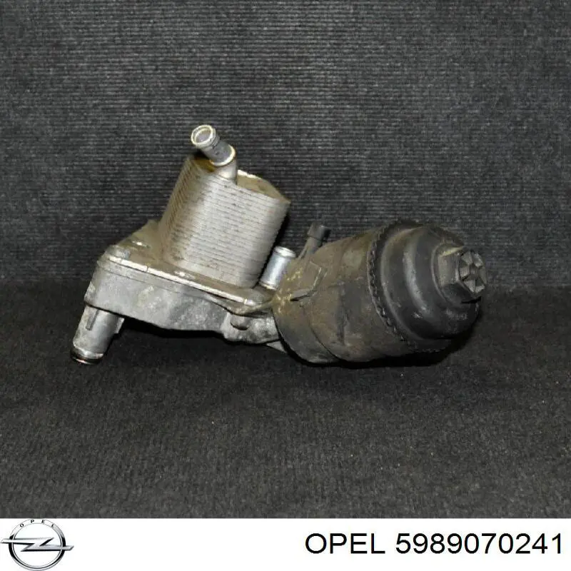 5989070241 Opel 
