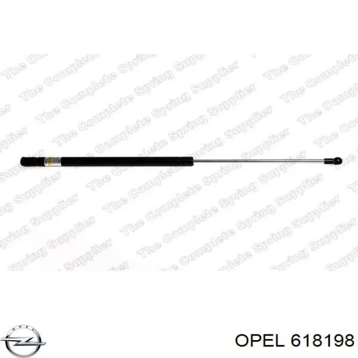 618198 Opel 