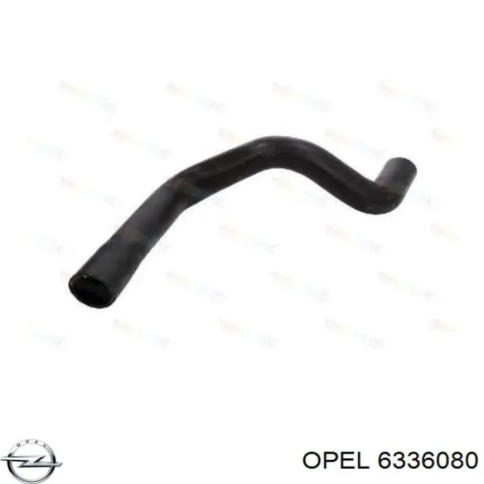 6336080 Opel Mangueira (cano derivado) inferior do radiador de esfriamento
