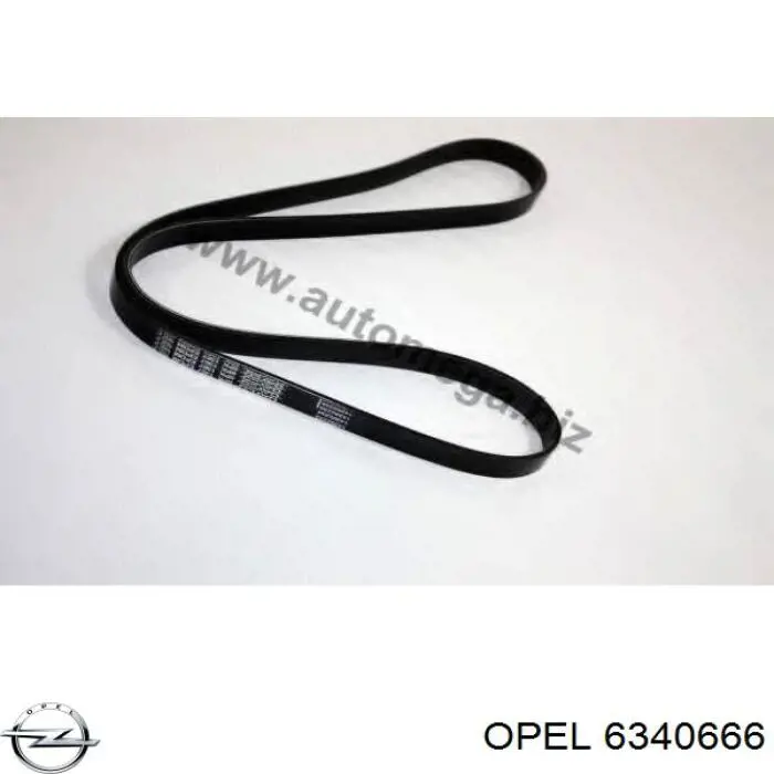 Compre 6340666 Opel Correia dos conjuntos de transmissão