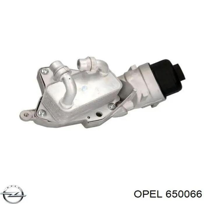650066 Opel Caixa do filtro de óleo