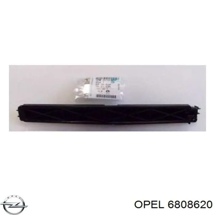 6808620 Opel Tampa de filtro de salão