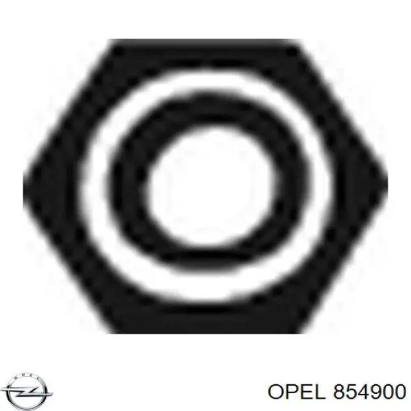 854900 Opel Porca de cubo traseiro