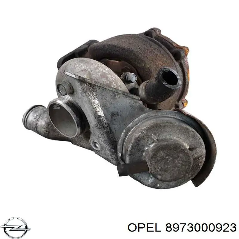 8973000923 Opel Turbina
