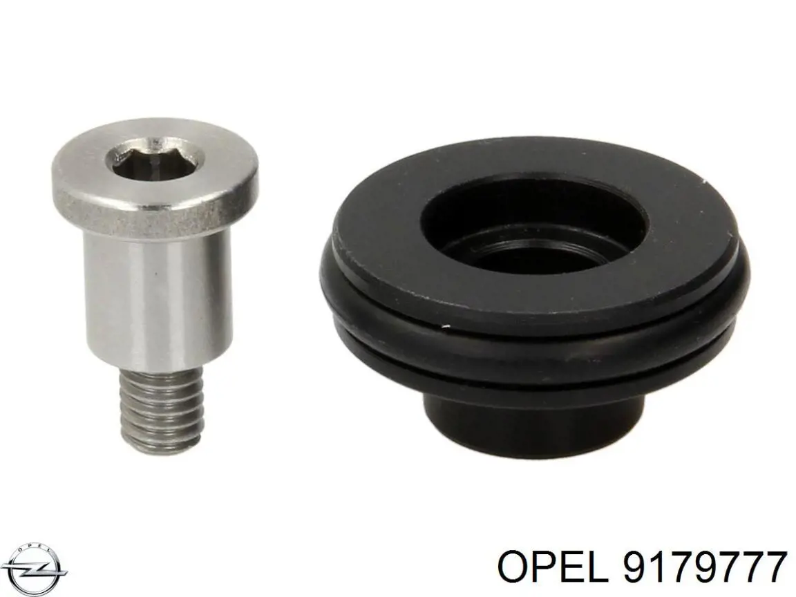 9179777 Opel Rolo esquerdo central da porta lateral (deslizante)