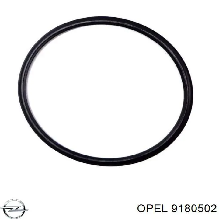 182956 Opel 