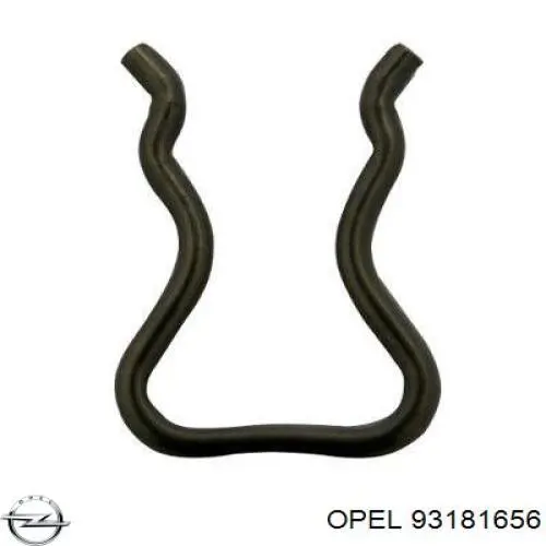 817979 Opel 