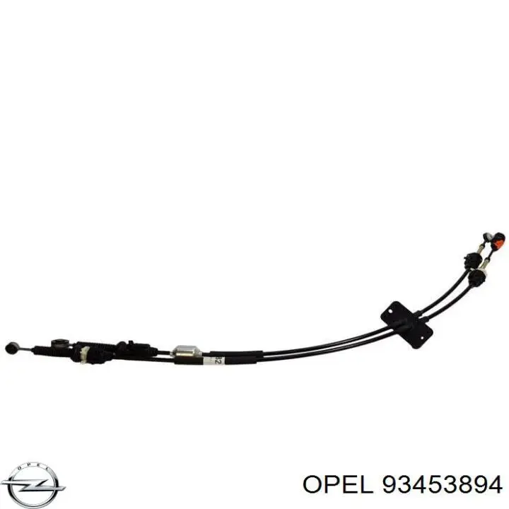 Compre 6000618599 Fiat/Alfa/Lancia Cabo de mudança duplo