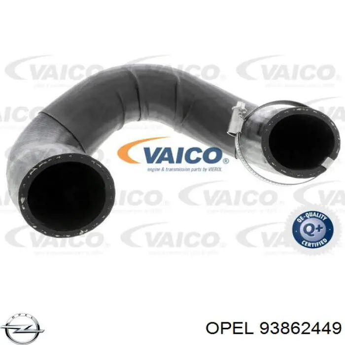 Compre 12624K Rapro Mangueira (cano derivado) de intercooler