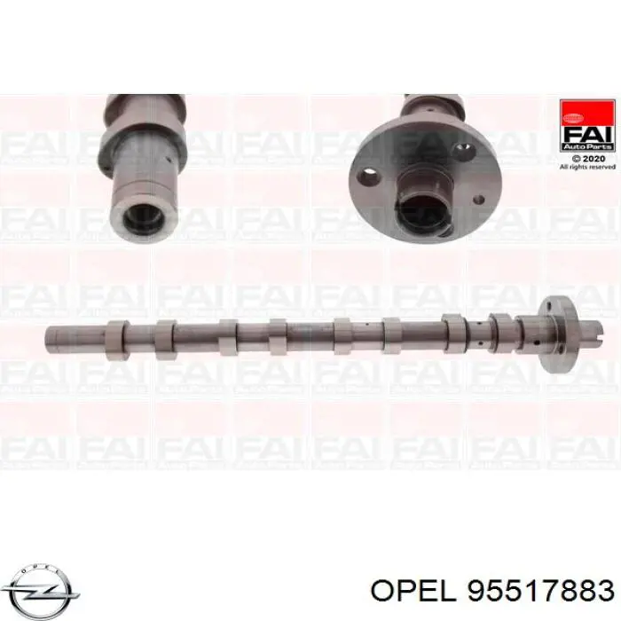 Compre 130015174R Renault (RVI) Árvore distribuidora de motor de escape