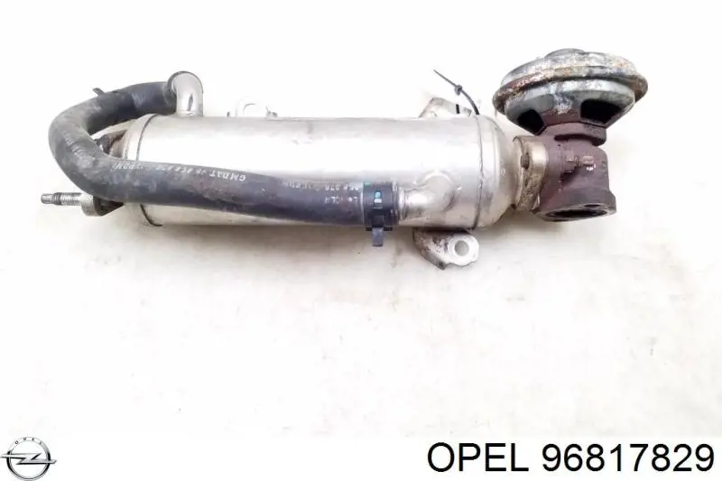 Radiador do sistema EGR de recirculação dos gases de escape Opel 96817829 preço, a partir de 47,67 USD