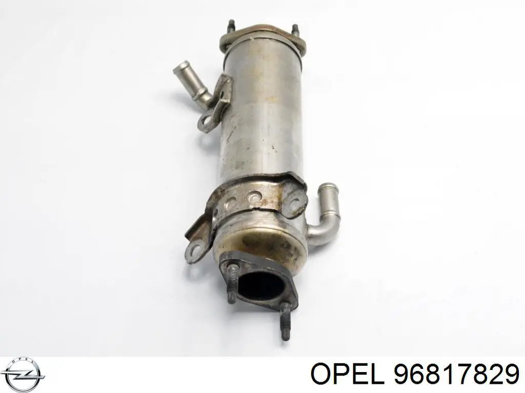 Radiador do sistema EGR de recirculação dos gases de escape 96817829 Opel