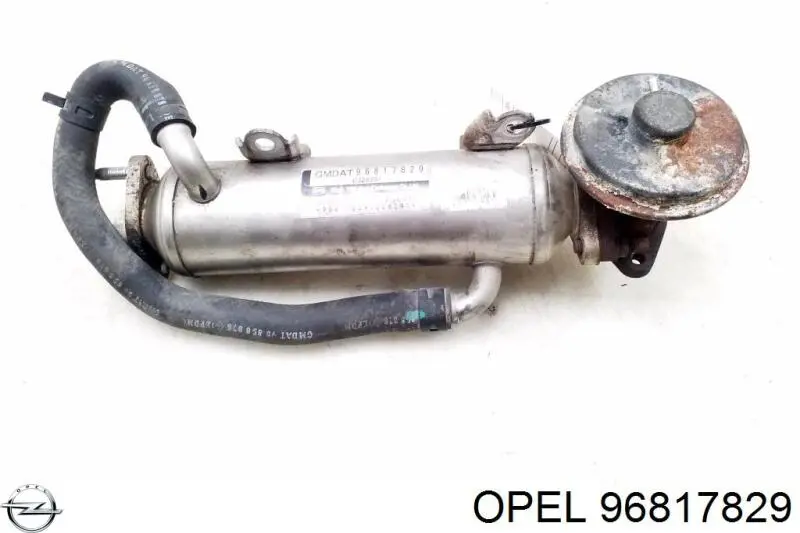 96817829 Opel Radiador do sistema EGR de recirculação dos gases de escape