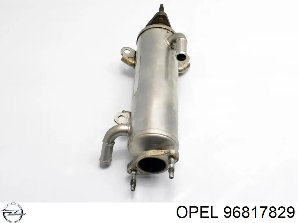Compre 96817829 Opel Radiador do sistema EGR de recirculação dos gases de escape