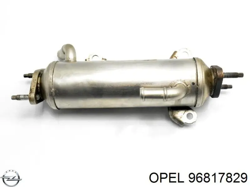 Radiador do sistema EGR de recirculação dos gases de escape 96817829 Opel
