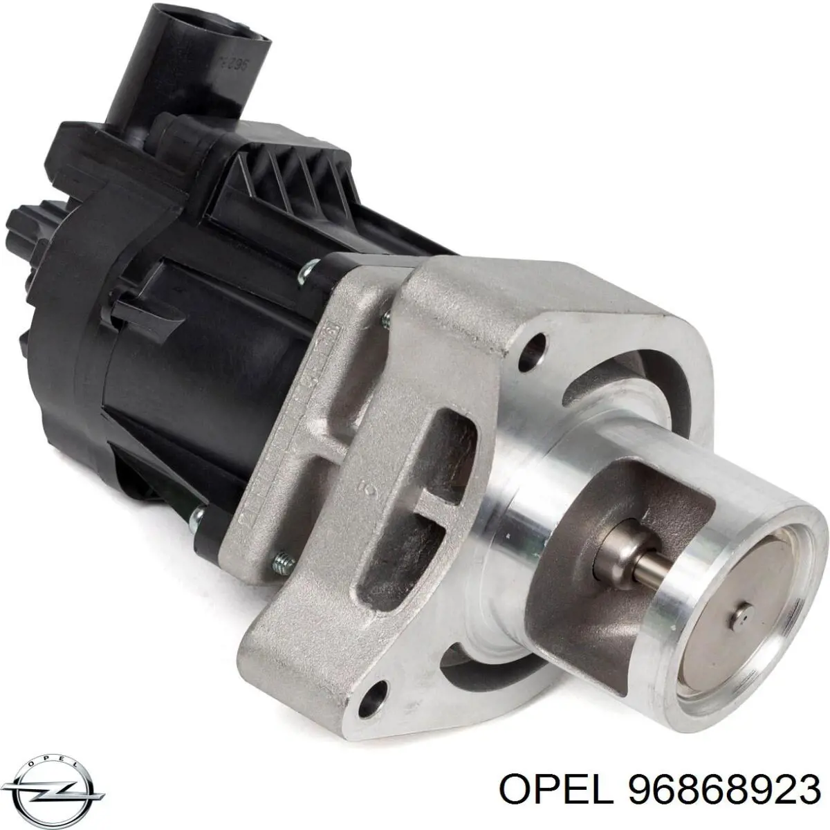 Compre 4802055 General Motors Válvula EGR de recirculação dos gases