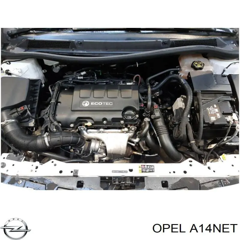 Compre A14NET Opel Motor montado