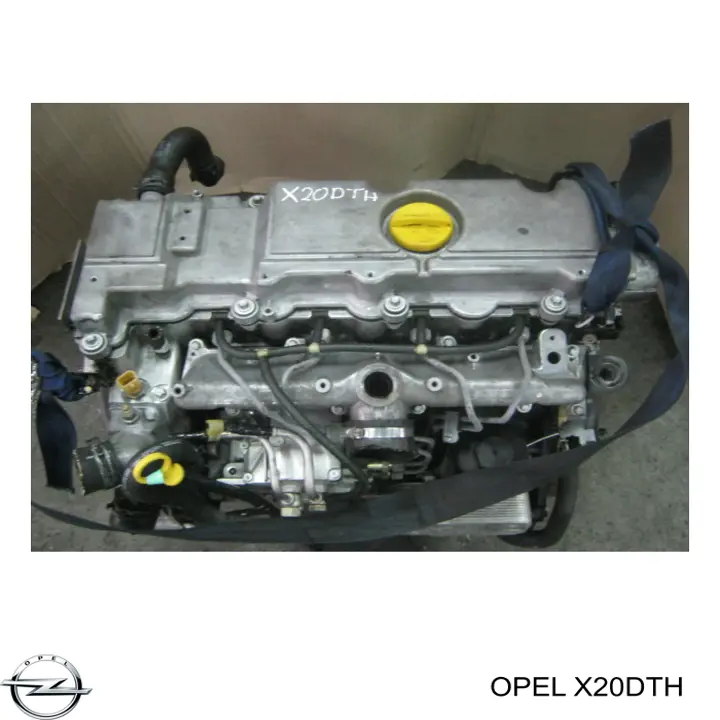 Motor montado para Opel Omega B 25, 26, 27
