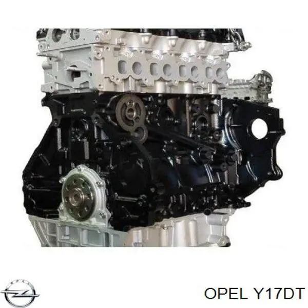 Y17DT Opel Motor montado