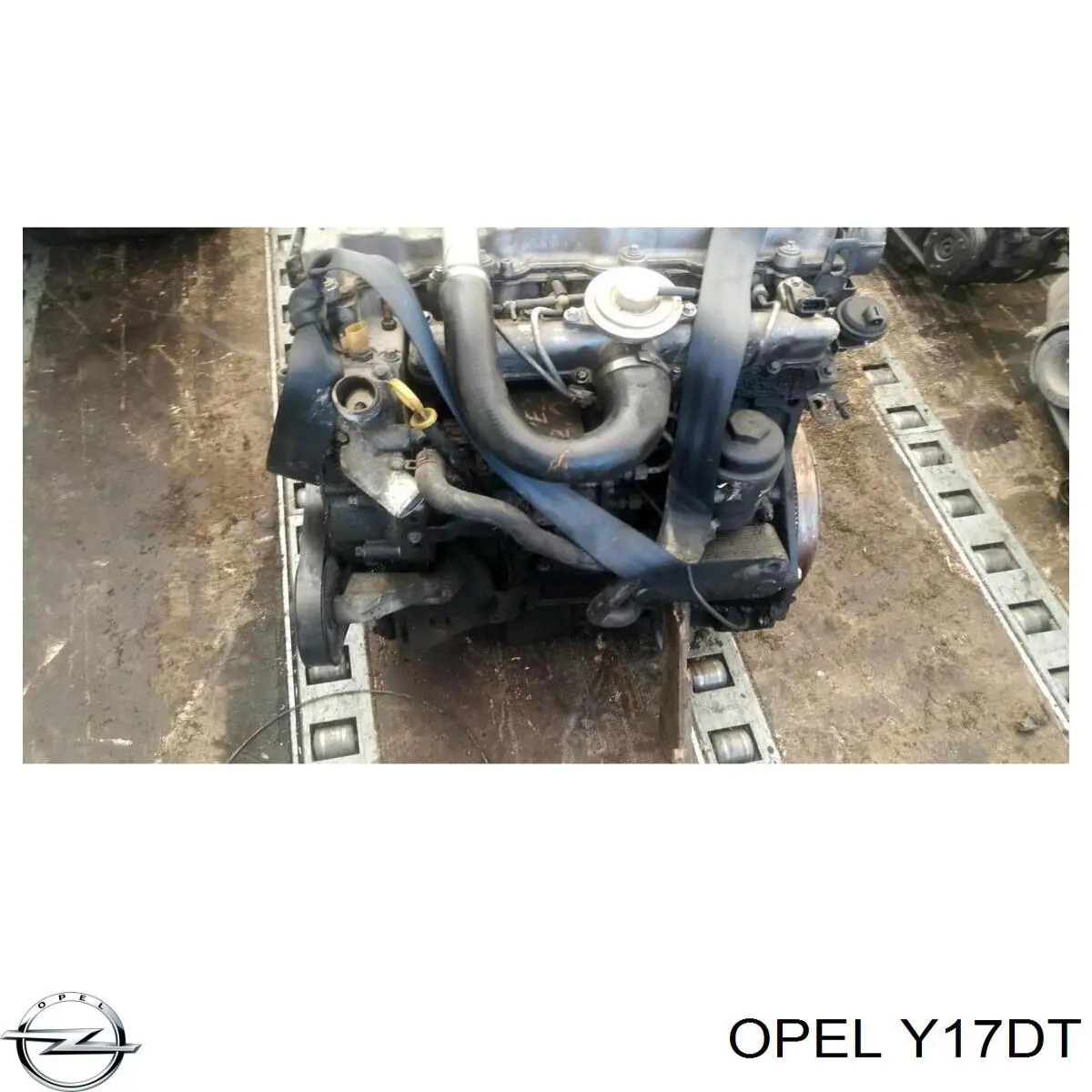 Motor montado Opel Y17DT preço, a partir de 859,51 USD
