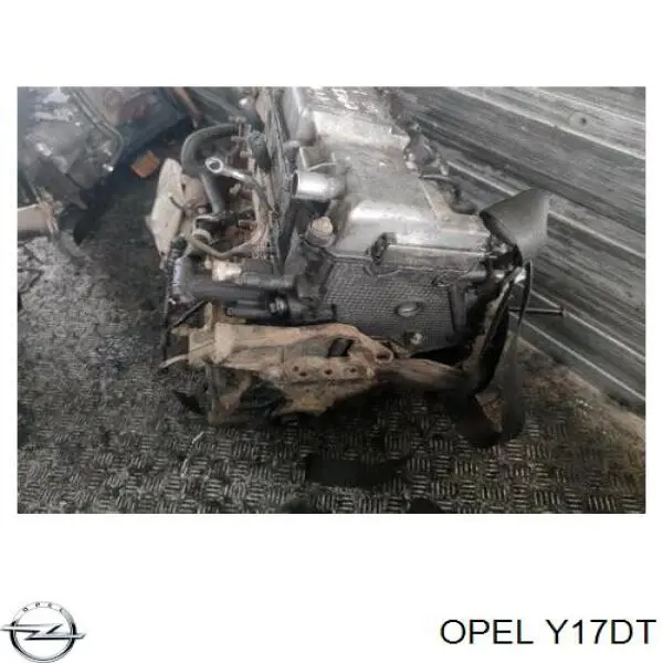 Compre Y17DT Opel Motor montado