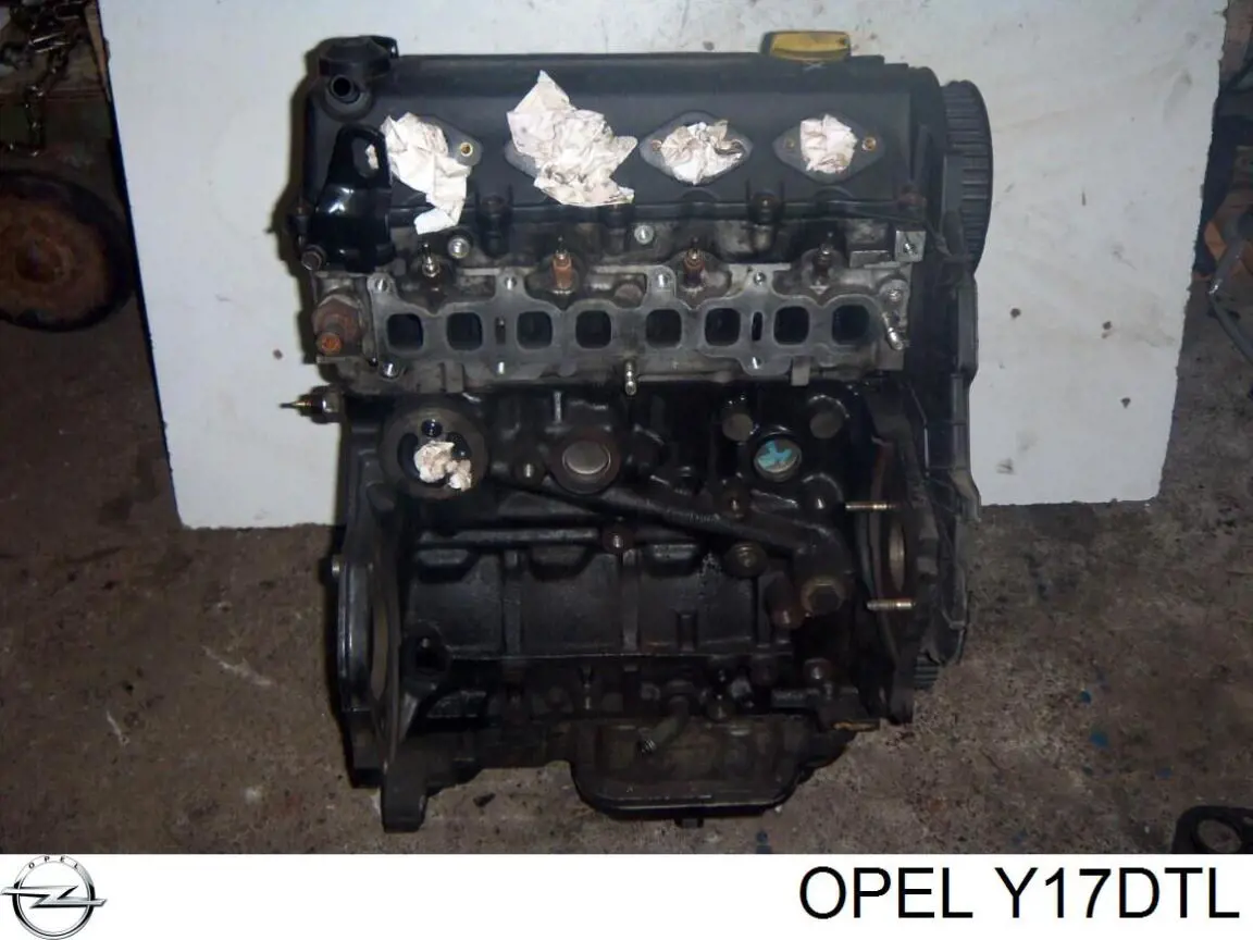 Y17DTL Opel Motor montado