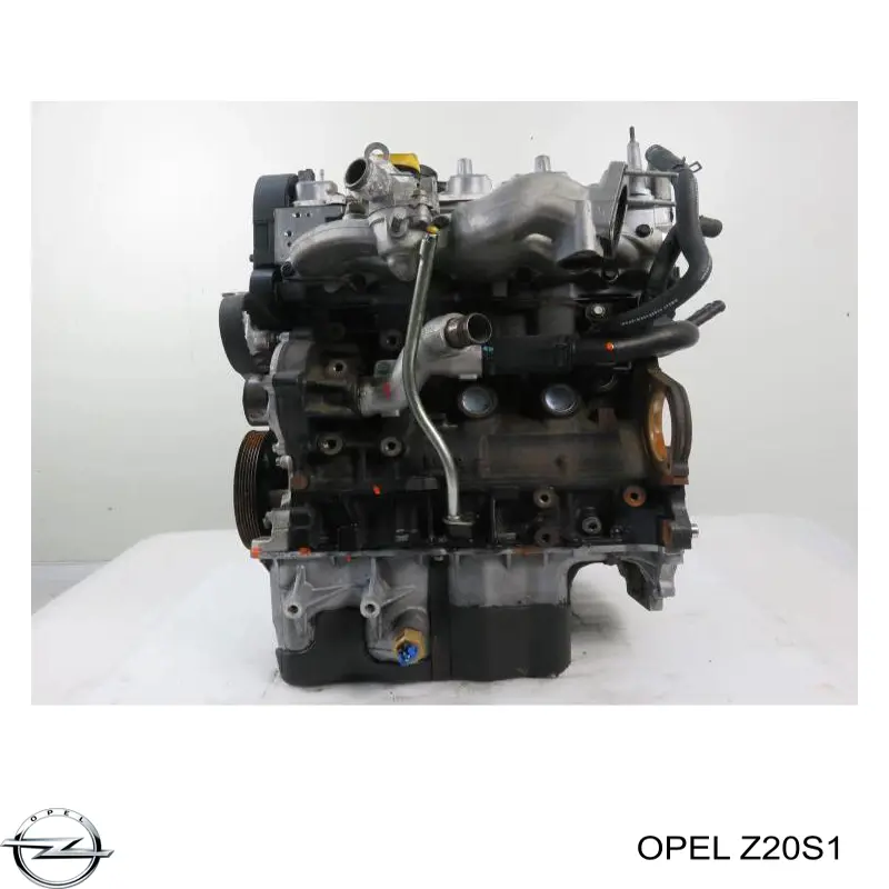 Compre Z20S1 Opel Motor montado