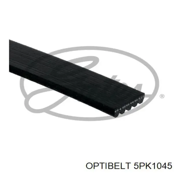 Correia dos conjuntos de transmissão Continental/Siemens 5PK1045 preço, a partir de 13,37 USD