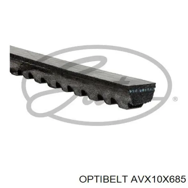 Compre AVX10X685 Optibelt Correia dos conjuntos de transmissão