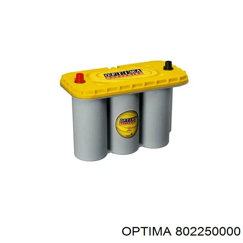 Compre 802250000 Optima Bateria recarregável (PILHA)
