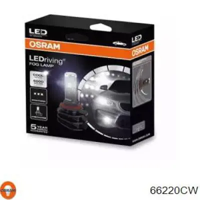 Compre 66220CW Osram Lâmpada das luzes de nevoeiro
