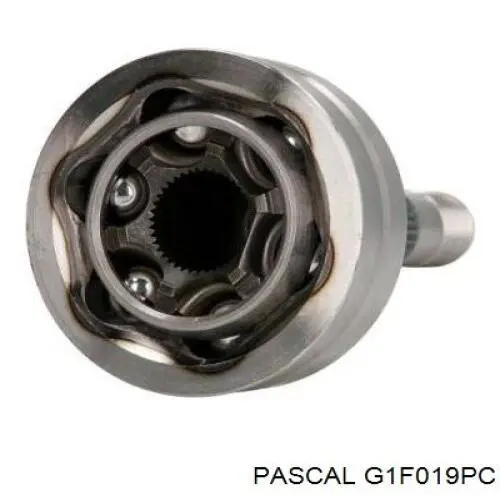 Junta homocinética externa dianteira Pascal G1F019PC preço, a partir de 45,77 USD