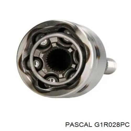Junta homocinética externa dianteira Pascal G1R028PC preço, a partir de 42,93 USD
