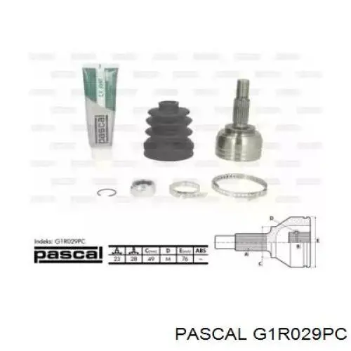 Junta homocinética externa dianteira Pascal G1R029PC preço, a partir de 39,21 USD