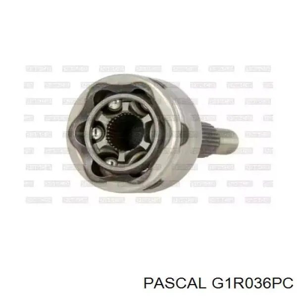 Junta homocinética externa dianteira Pascal G1R036PC preço, a partir de 47,61 USD
