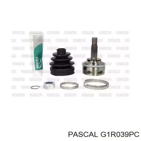 G1R039PC Pascal Junta homocinética externa dianteira