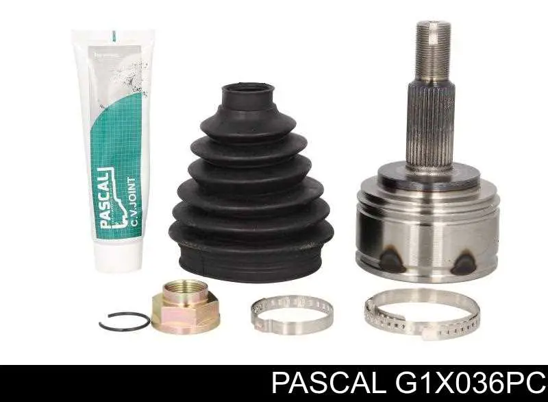G1X036PC Pascal Junta homocinética externa dianteira