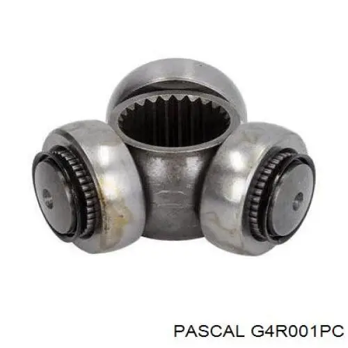 G4R001PC Pascal Junta homocinética interna, tripé