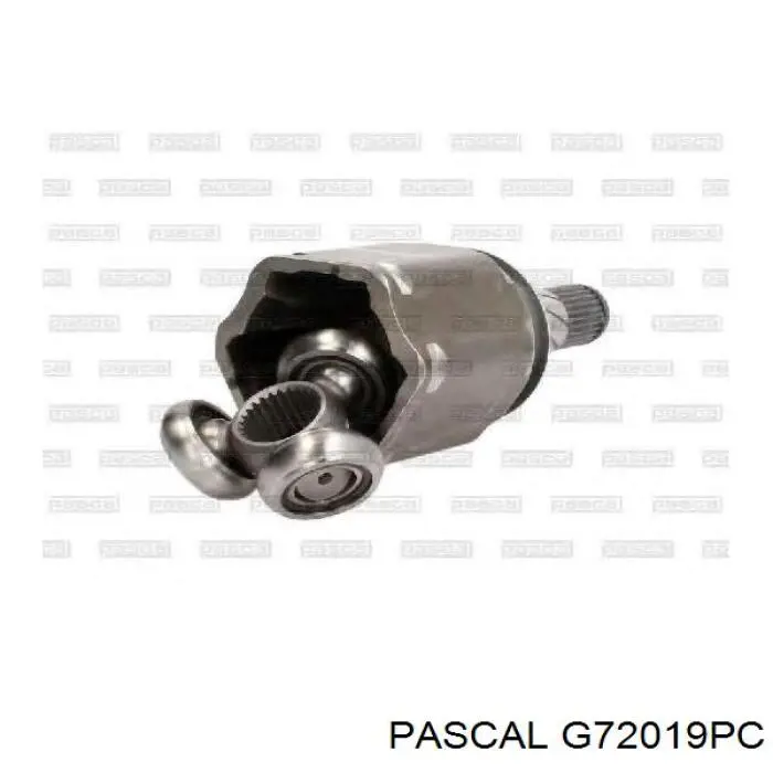 G72019PC Pascal Junta homocinética interna dianteira