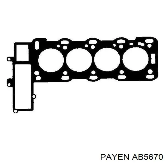 Compre AB5670 Payen Vedante de cabeça de motor (CBC)