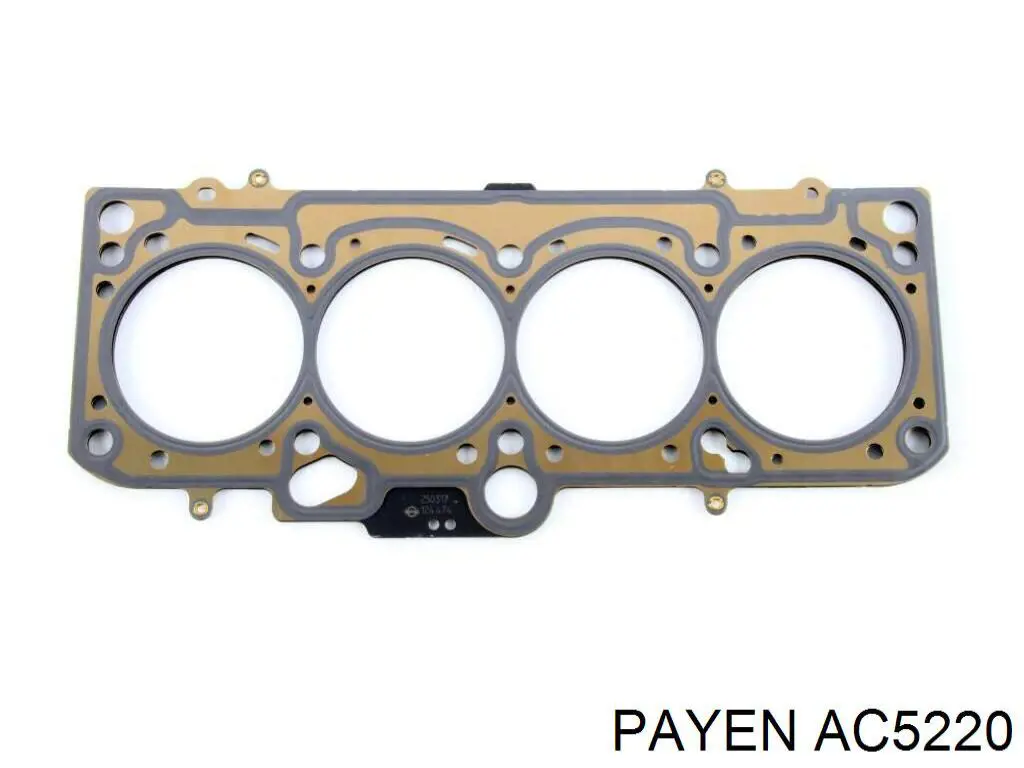 Compre AC5220 Payen Vedante de cabeça de motor (CBC)