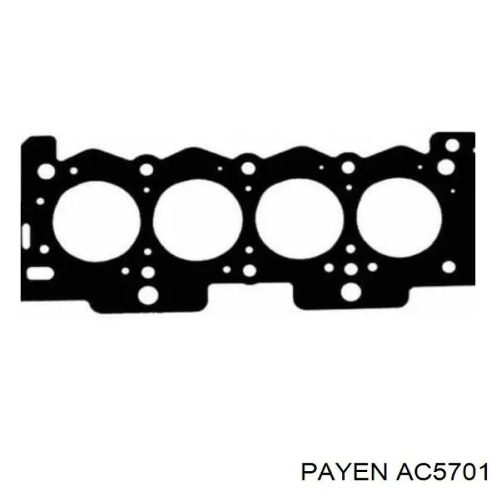 Compre AC5701 Payen Vedante de cabeça de motor (CBC)