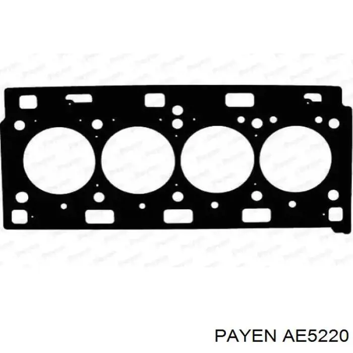 Vedante de cabeça de motor (CBC) Payen AE5220 preço, a partir de 64,98 USD