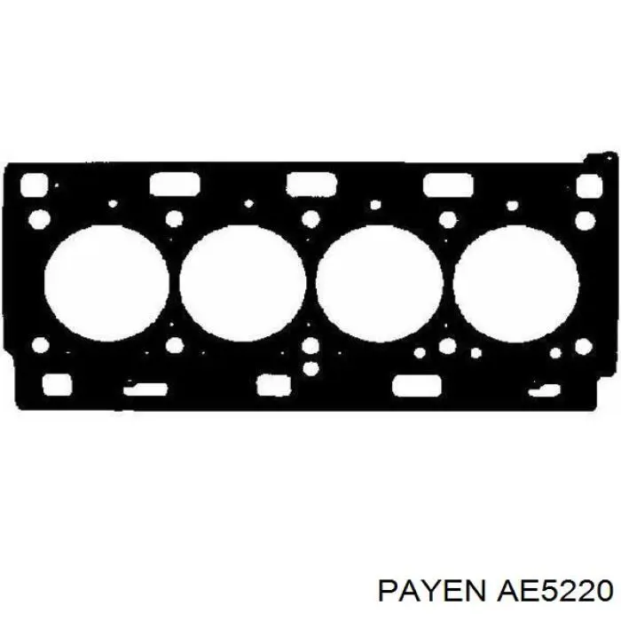 Compre AE5220 Payen Vedante de cabeça de motor (CBC)