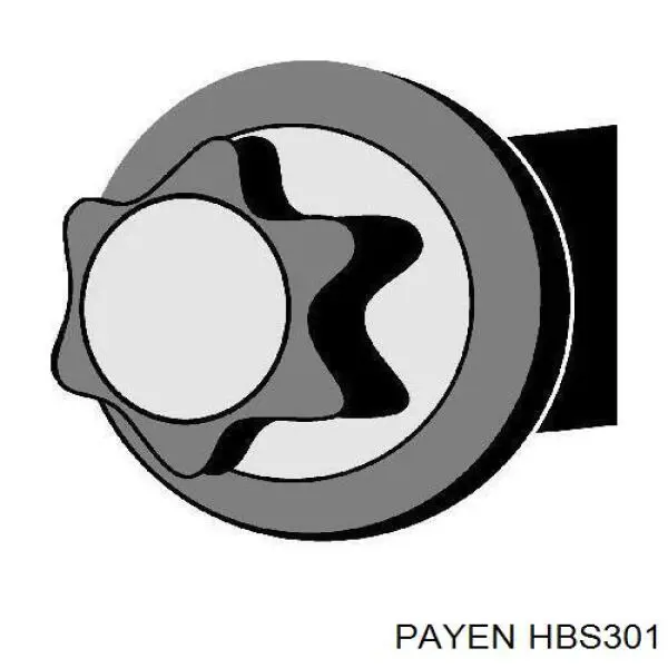 Parafuso de cabeça de motor (CBC) Payen HBS301 preço, a partir de 20,06 USD