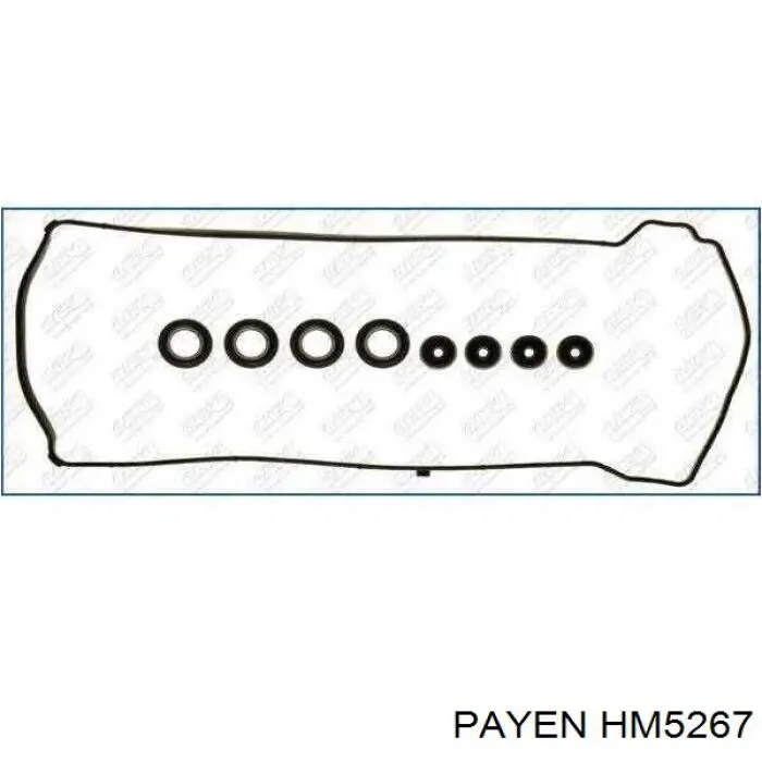 HM5267 Payen Vedante de tampa de válvulas de motor