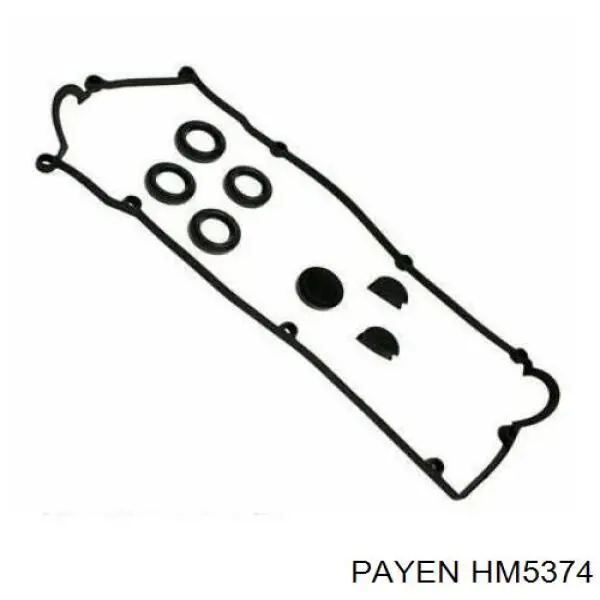 HM5374 Payen Vedante da tampa de válvulas de motor, kit