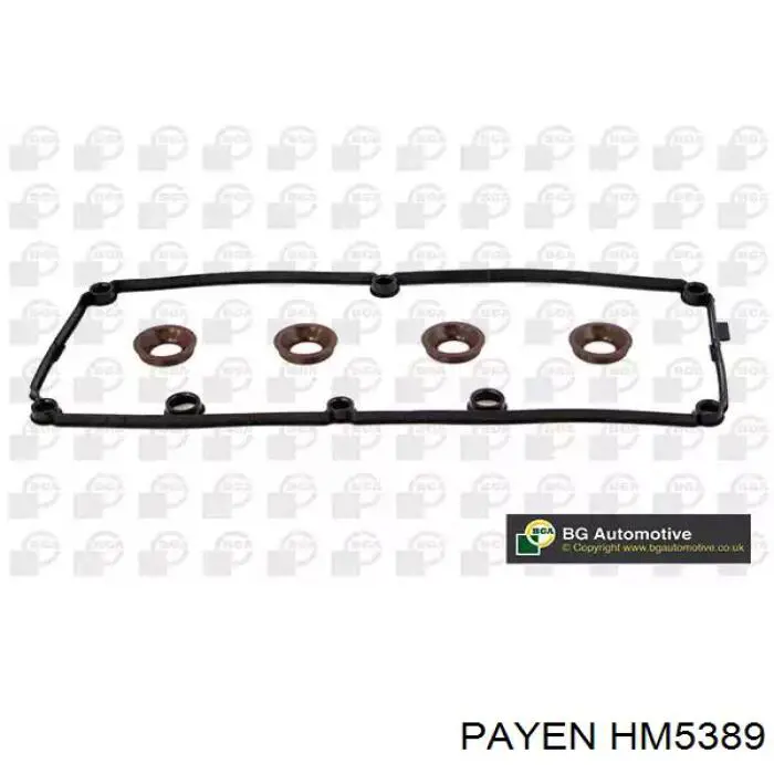HM5389 Payen Vedante da tampa de válvulas de motor, kit
