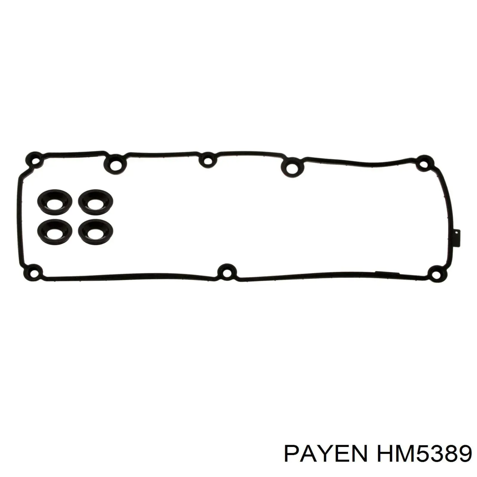 Vedante da tampa de válvulas de motor, kit Payen HM5389 preço, a partir de 28,27 USD