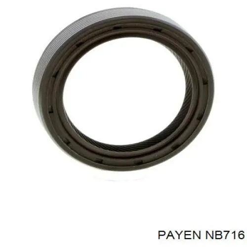  Payen NB716